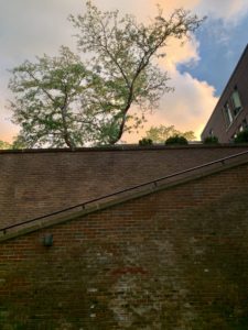 Sky Contrast Fredonia